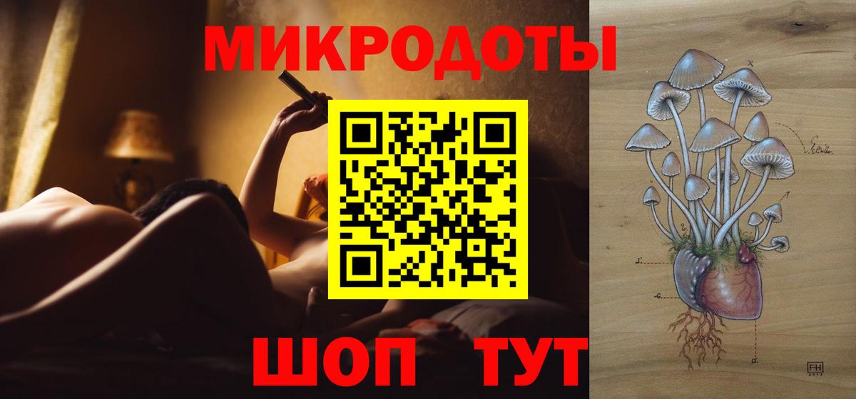 Галлюциногенные грибы Psilocybe  Вход с VPN  Королёв  Псилоцибиновые грибы мухоморы 