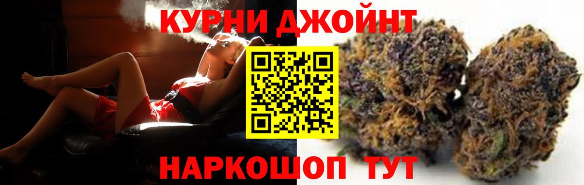 Конопля планчик Королёв